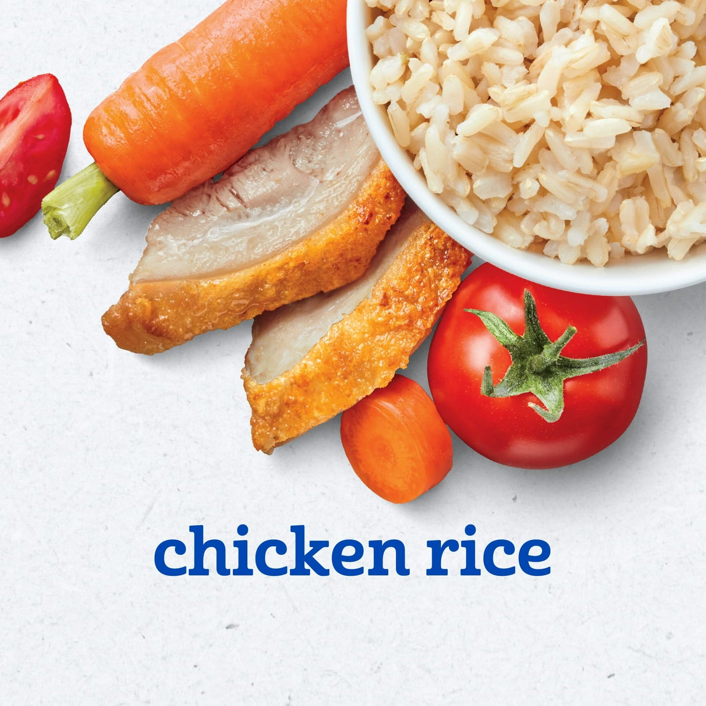 Gerber 2nd Foods PowerBlend Baby Food Chicken and Rice, 4 oz Tubs