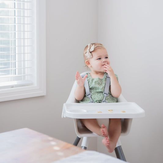 Regalo Baby Basics High Chair, Removable Oversized Tray with Cup Holder,  5-Point Harness, White, Plastic Chair, Steel Legs, Ages 6-36 Months