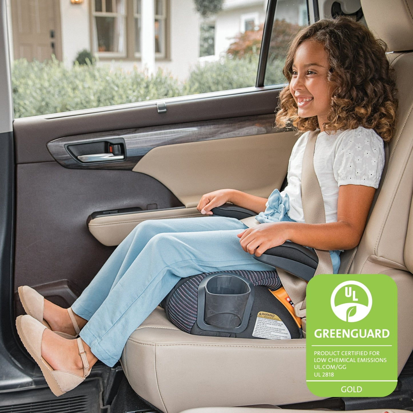 Chicco GoFit ClearTex Plus Backless Belt-Positioning Booster Car Seat, LATCH Attachment Plus Quick-Release - Static (Black)