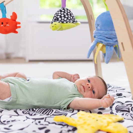 Image displaying a baby playinng in a Baby activity play set