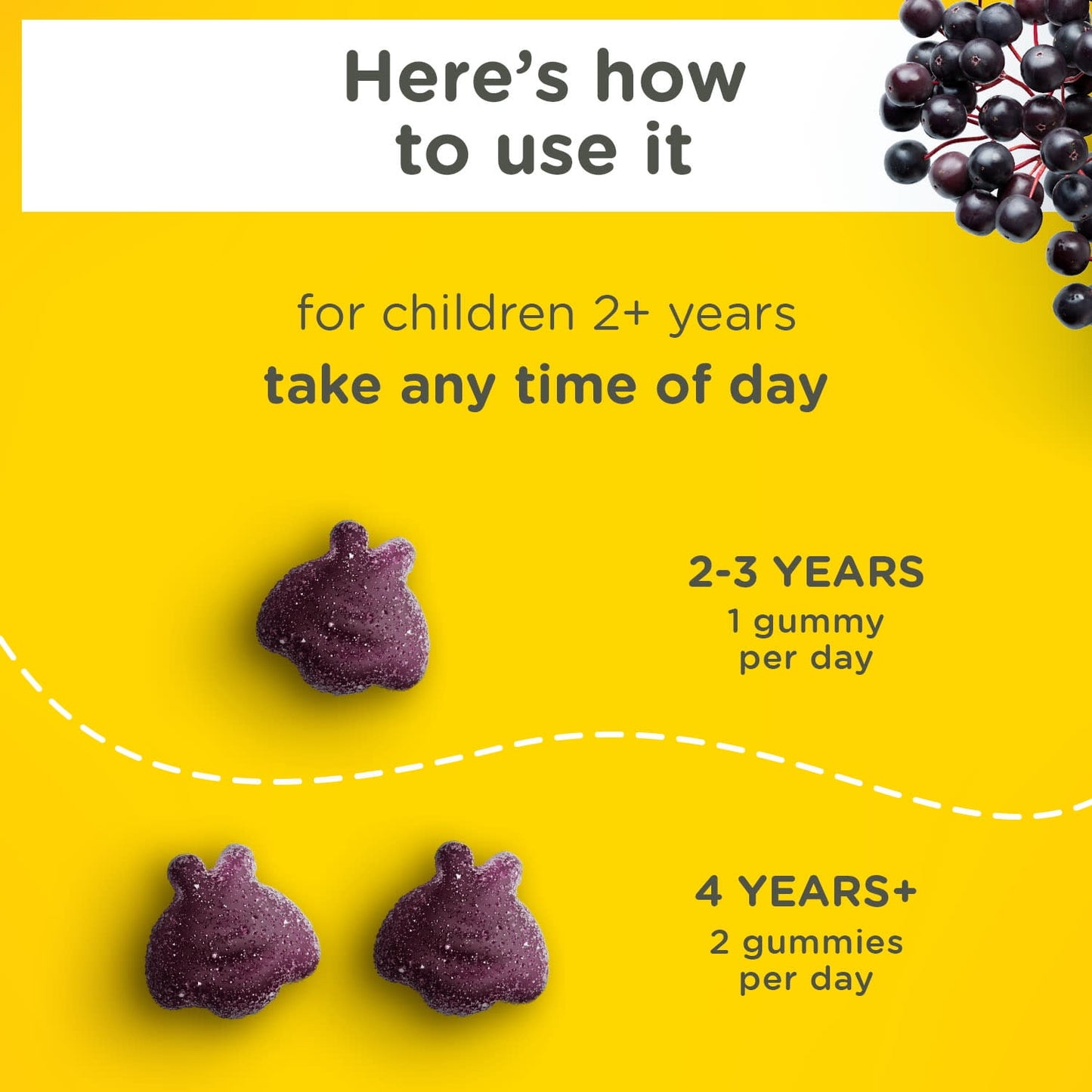Image showing text about a Daily wellness supplement product for kids