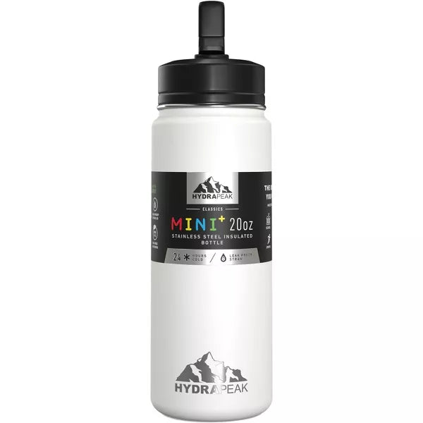Hydrapeak 20oz Kids Stainless Steel Leak Proof Water Bottle with Straw Lid and Flexible Handle