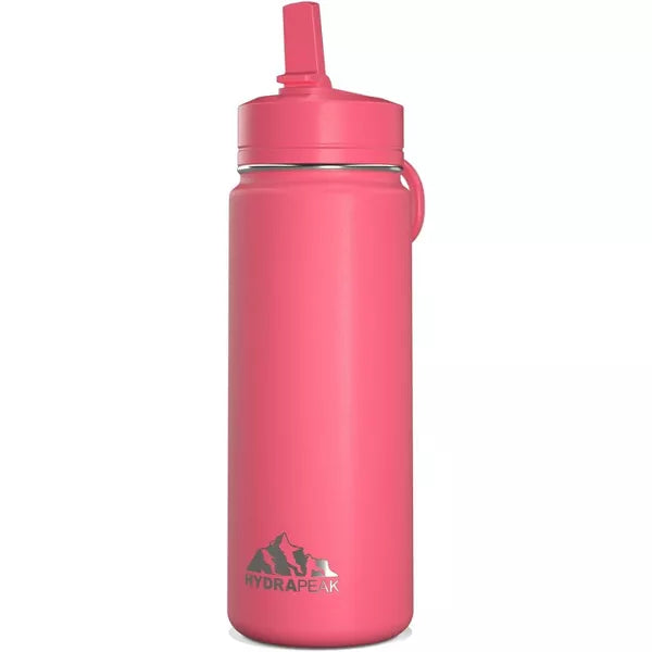 Hydrapeak 20oz Kids Stainless Steel Leak Proof Water Bottle with Straw Lid and Flexible Handle