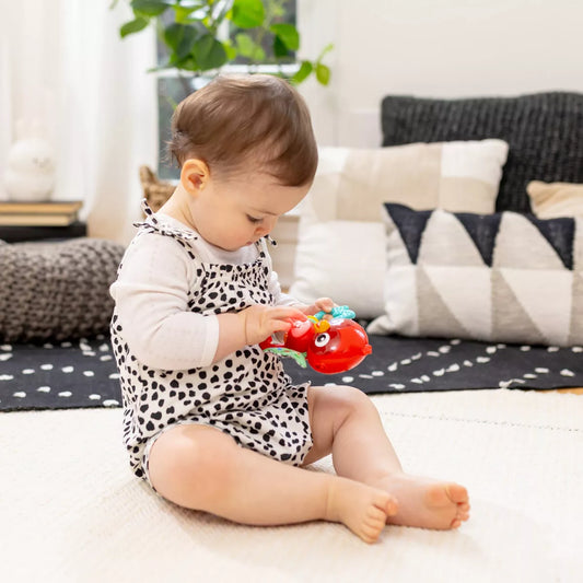 Baby Einstein Roxy's Bright Flight Musical Baby Toy