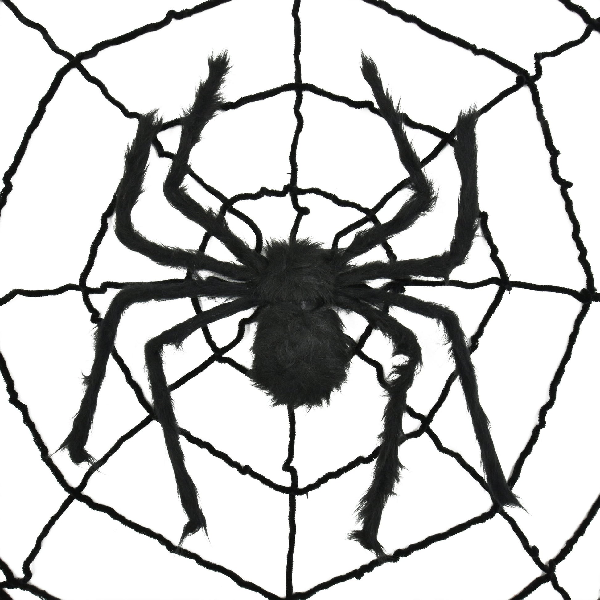 Halloween Themed Black spider on a web with a white background