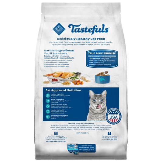 Pet dry cat food – wholesome nutrition for regular feeding to help support energy and overall health