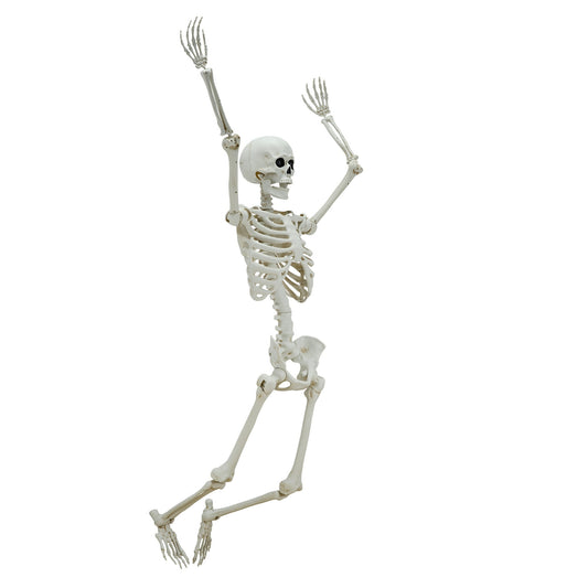 5ft White Poseable Skeleton Decoration, Halloween Outdoor Decor, by Way To Celebrate