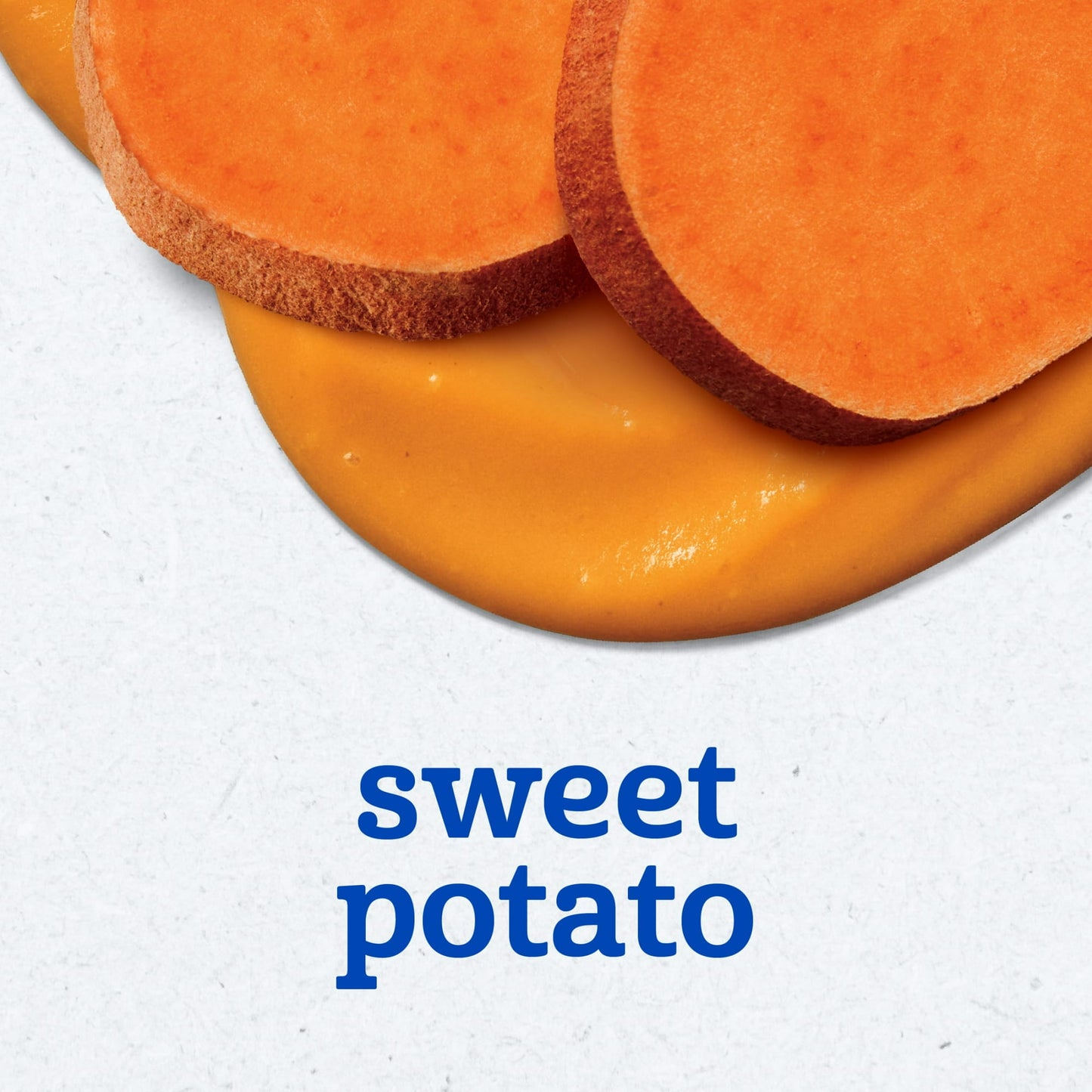 Gerber 1st Foods Baby Food, Sweet Potato Puree, Clean Label Project, 2 oz Tubs (2 pack)