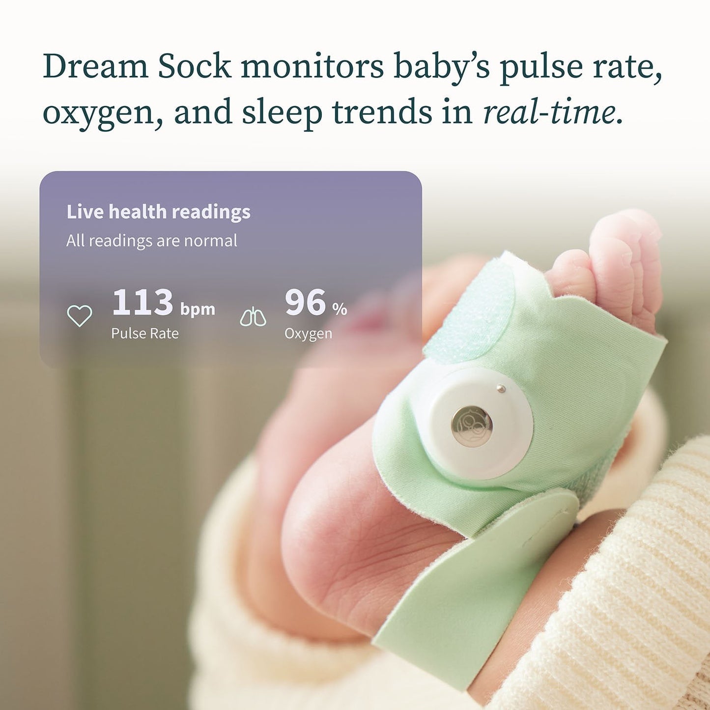Owlet Dream Duo Deluxe Bundle, Travel Case and Size 2 Sleeper