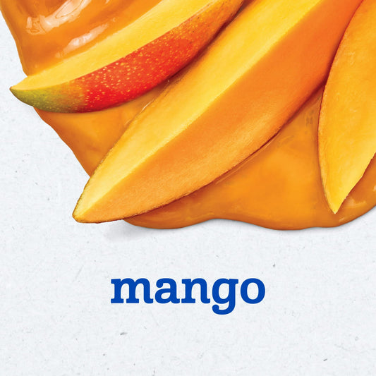 Gerber Stage 2 Baby Food, Mango Puree Tub, Baby Puree, 2PK 8 oz