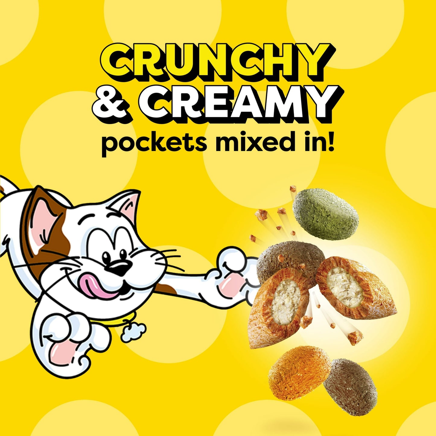 Image displaying text about the details of a dry cat food