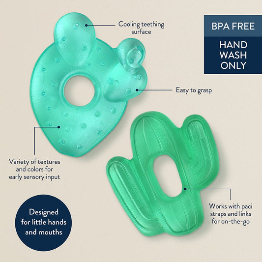 Itzy Ritzy Water-Filled Coordinating Cactus Water Teethers, Unisex, Set of 3 Green Cacti