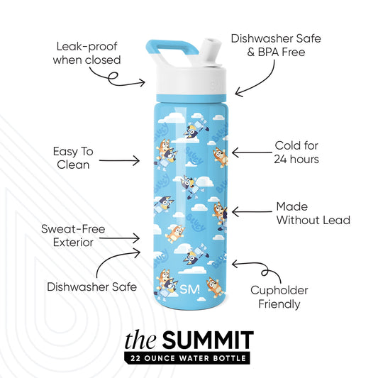 Simple Modern Bluey 22 fl oz Insulated Stainless Steel Summit Wide Mouth Water Bottle with Straw Lid|Bluey Sky