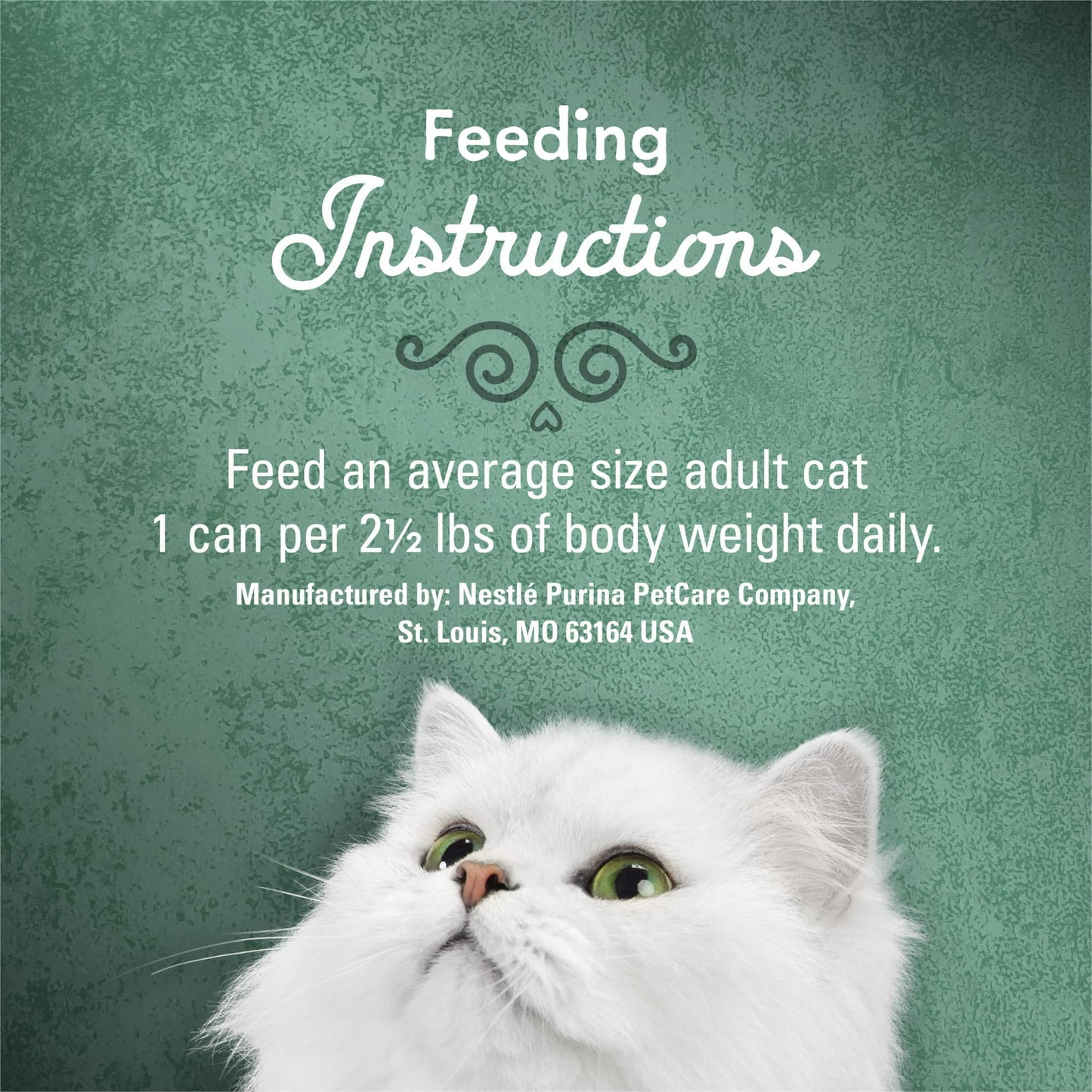Image displaying text about the details of a Wet cat food