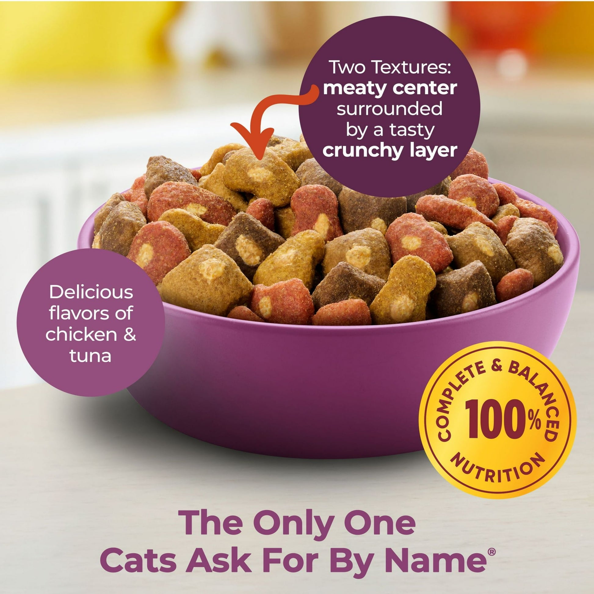 Image displaying text about the details of a dry cat food