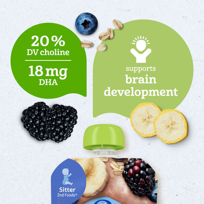 Gerber Stage 2 Baby Food, Organic Banana Blueberry Blackberry Oatmeal, Baby Puree