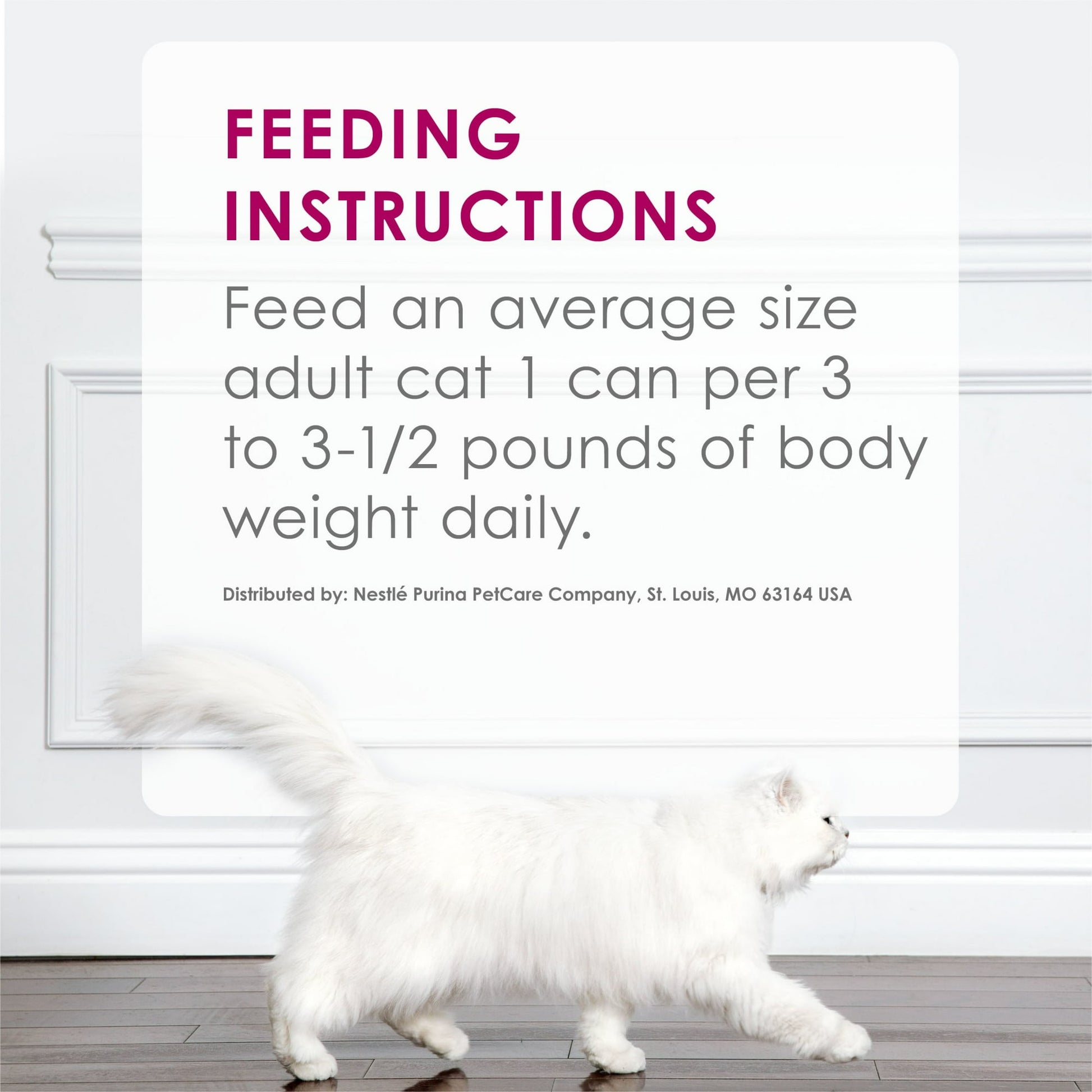 Image displaying text about the details of a Wet cat food