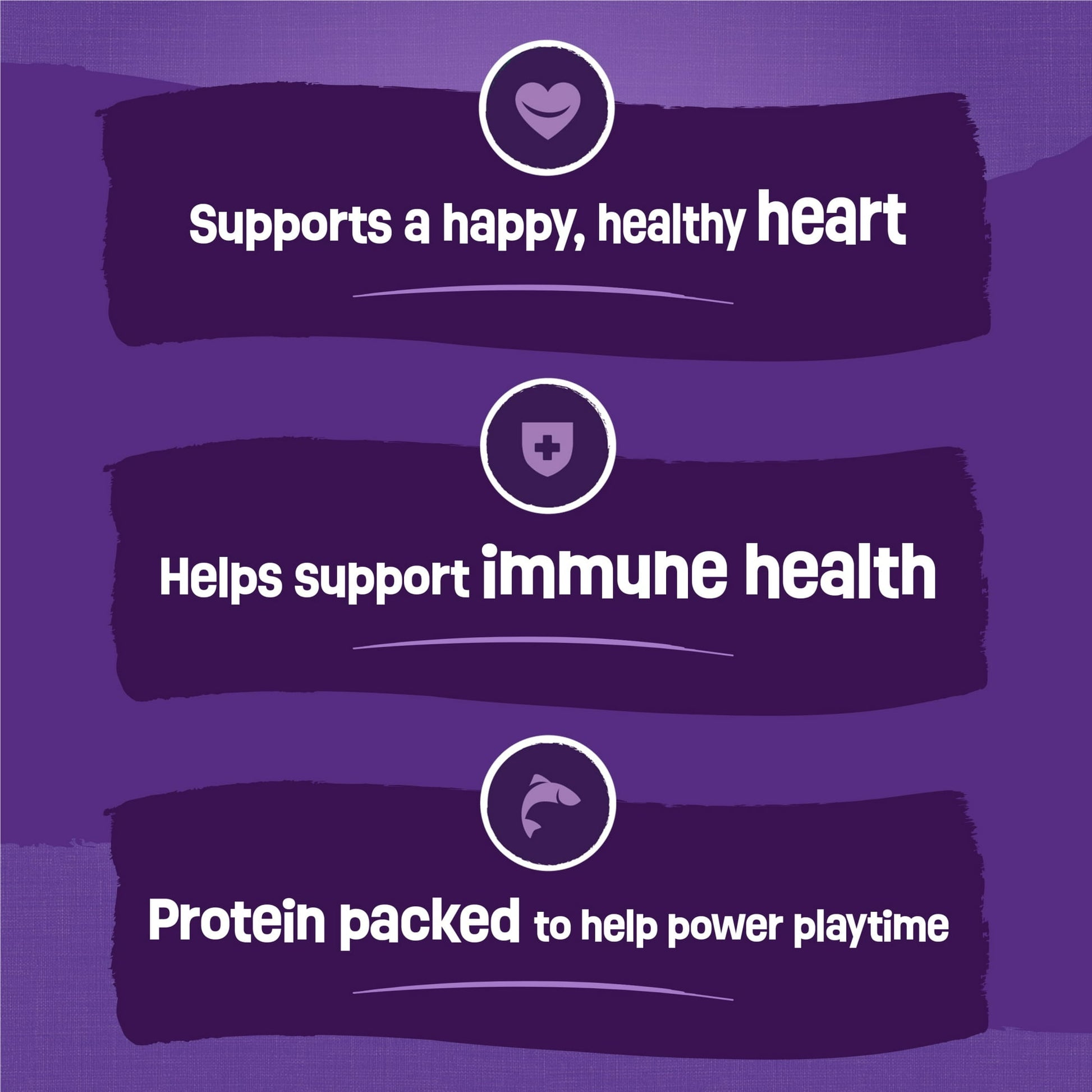 Image displaying text about the details of a dry cat food