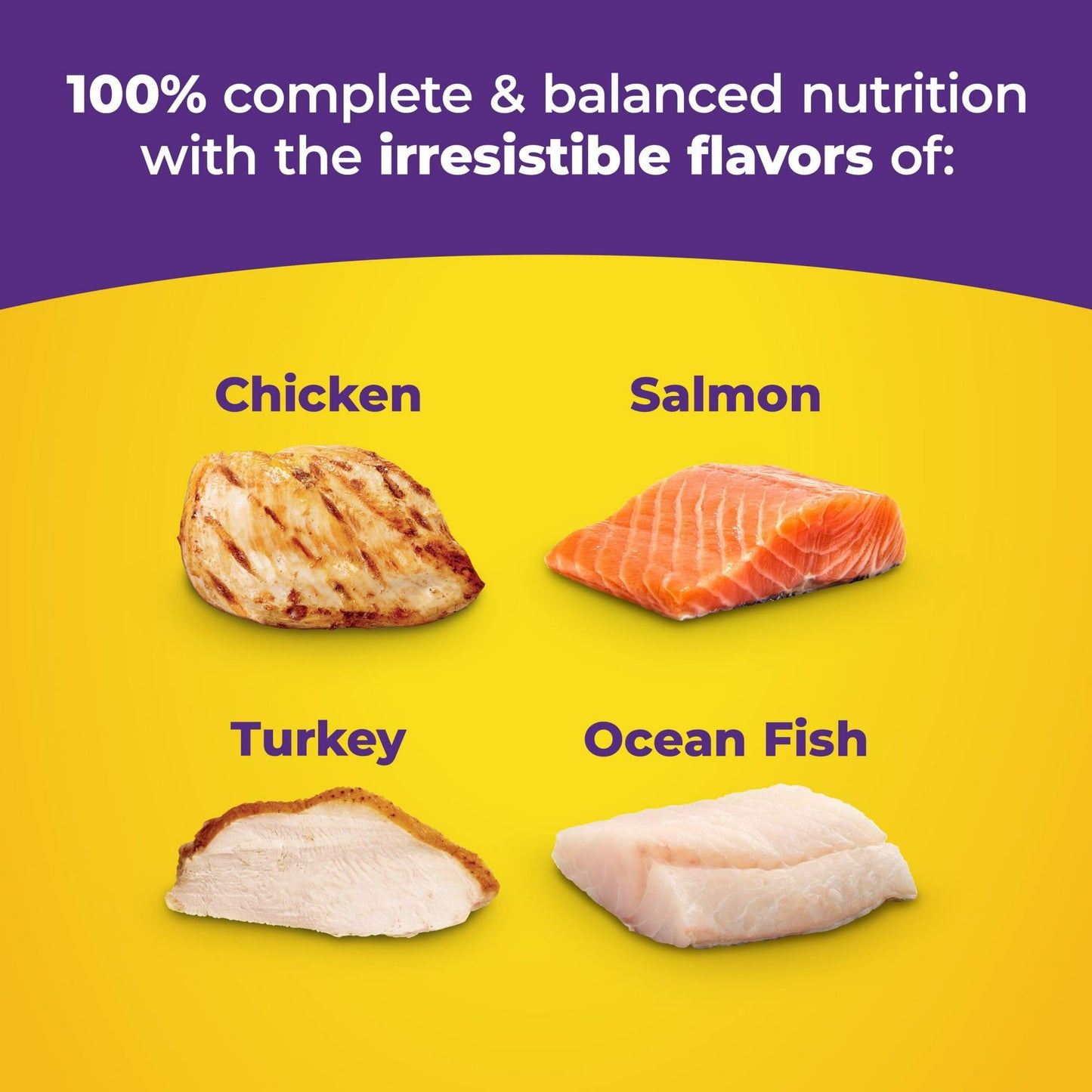 Image displaying text about the details of a dry cat food