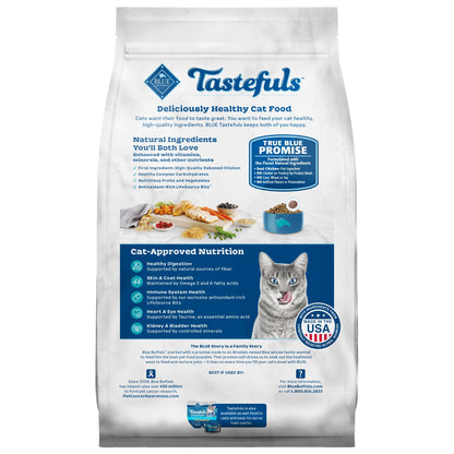 Pet dry cat food – wholesome nutrition for regular feeding to help support energy and overall health