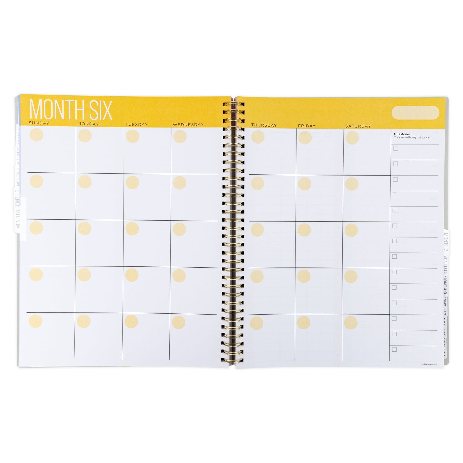 Image displaying a parent planner