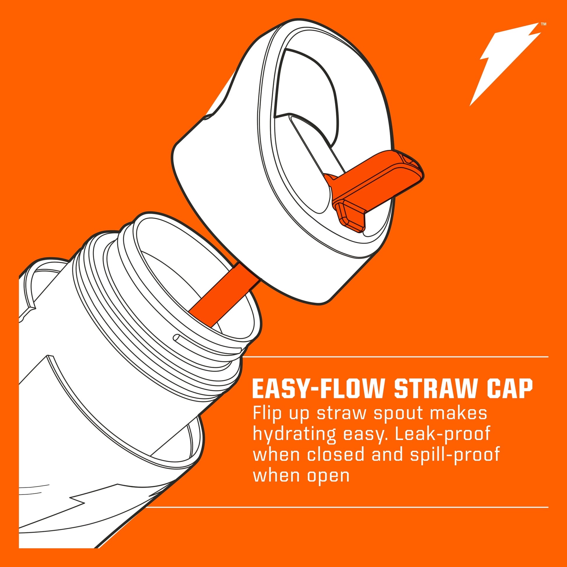 Premium reusable water bottle for everyday hydration.