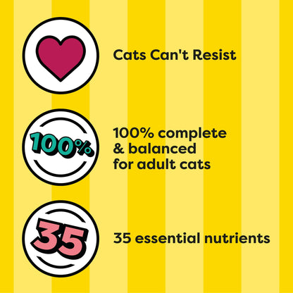 Image displaying text about the details of a dry cat food