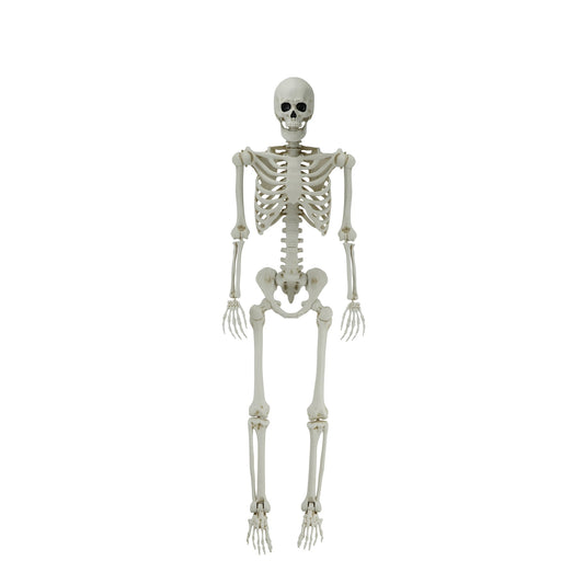5-Foot Halloween White Skeleton Decoration – Life-Size Poseable Prop for Indoor or Outdoor Display
