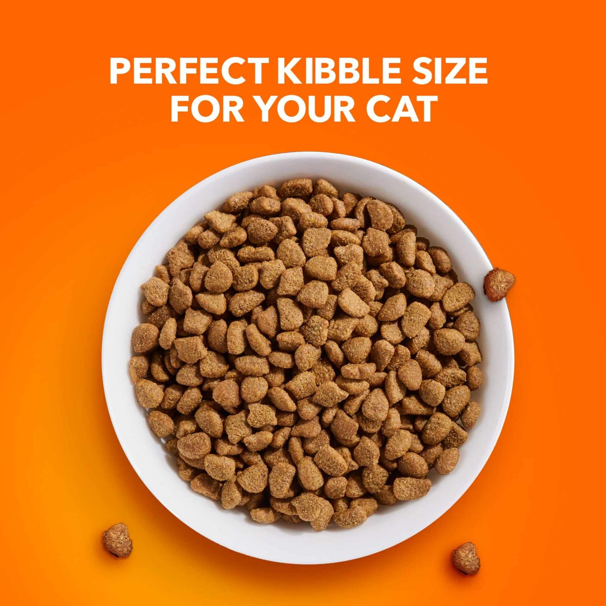 Image displaying text about the details of a dry cat food