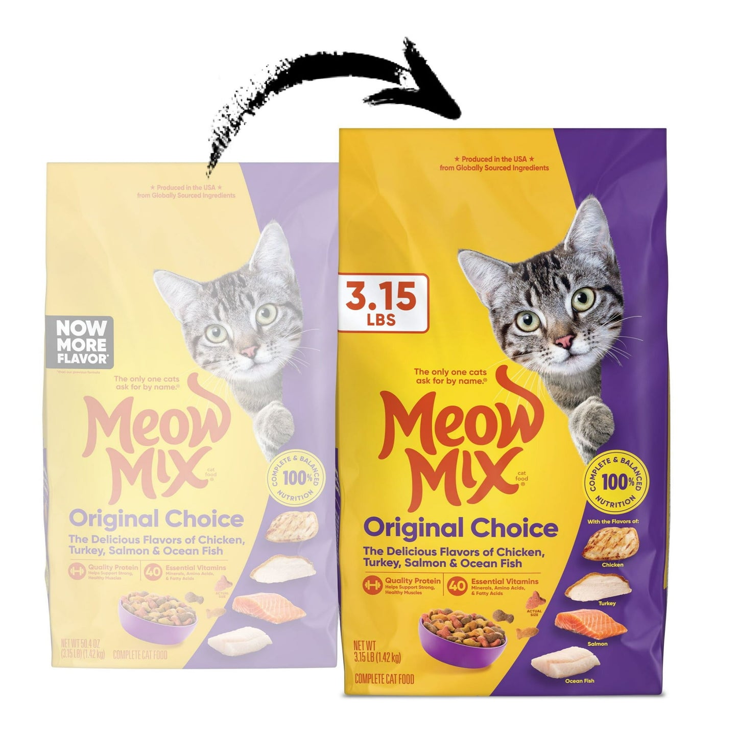 Pet dry cat food – wholesome nutrition for regular feeding to help support energy and overall health