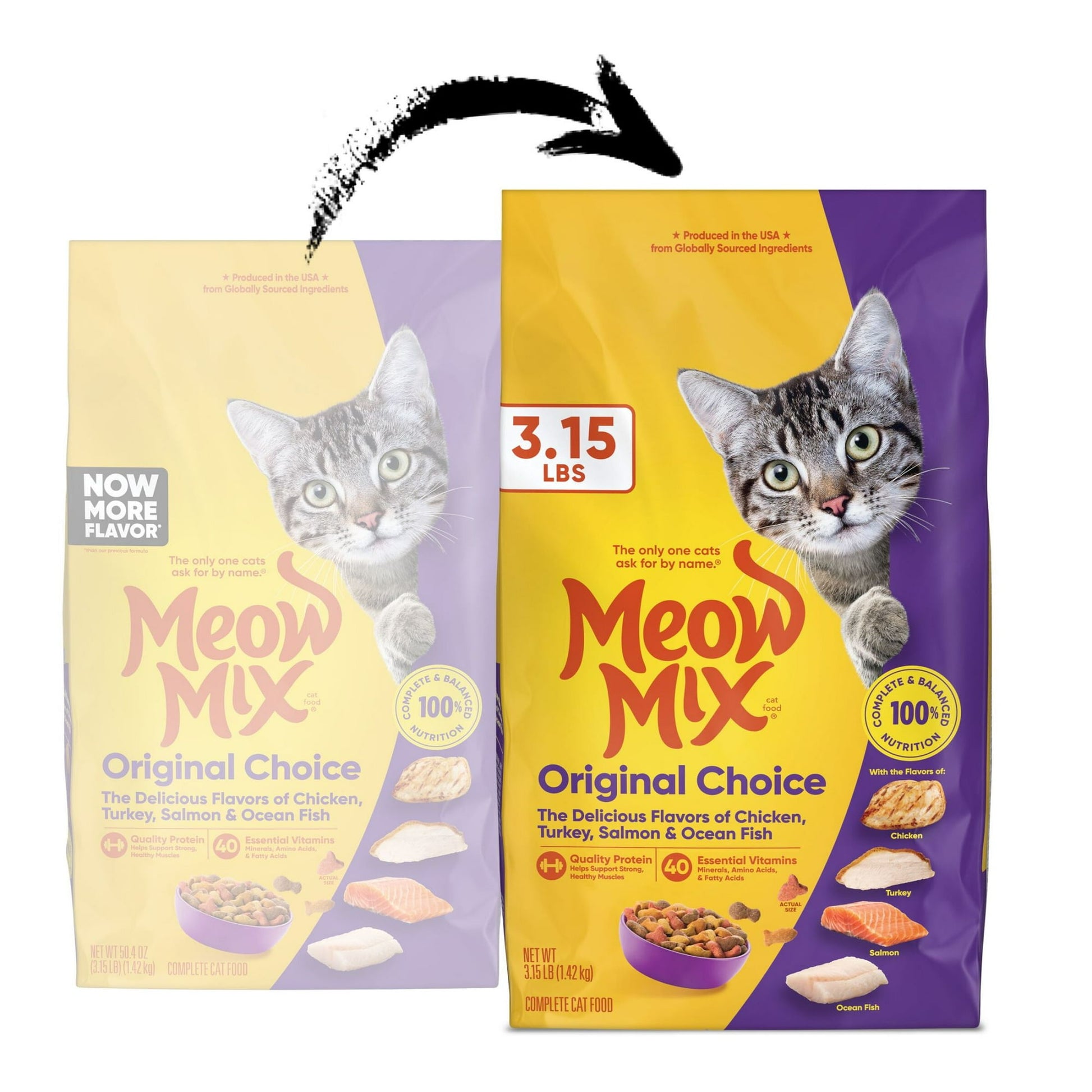 Pet dry cat food – wholesome nutrition for regular feeding to help support energy and overall health