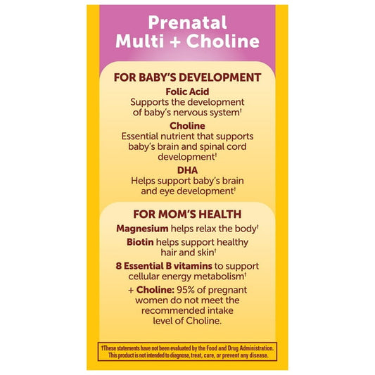 Nature Made Prenatal Vitamins Softgels + Choline Supplement Capsules, 70 Count