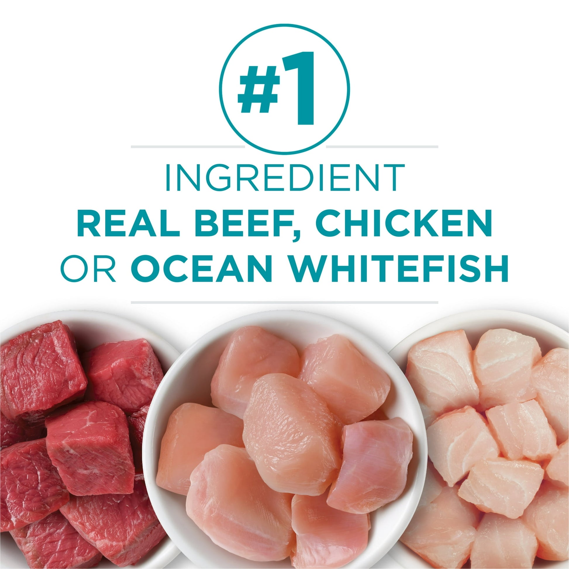 Image displaying text about the details of a Wet cat food