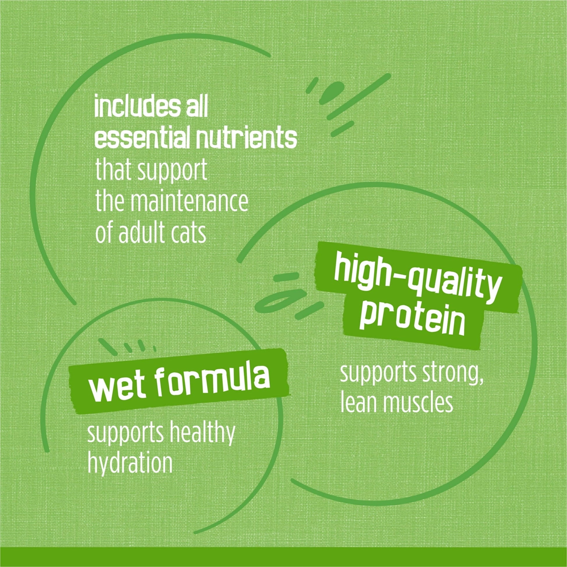 Image displaying text about the details of a Wet cat food