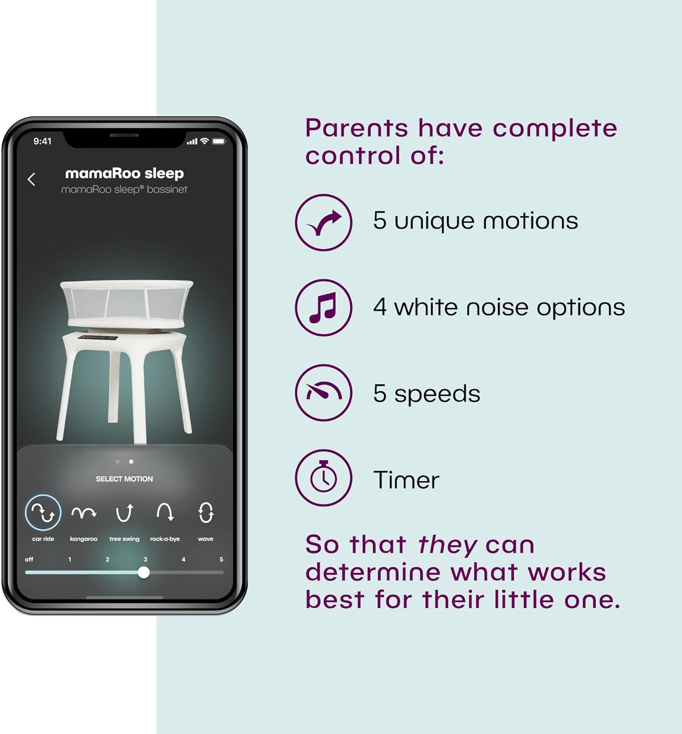 Image displaying text about the details of a Baby bassinet