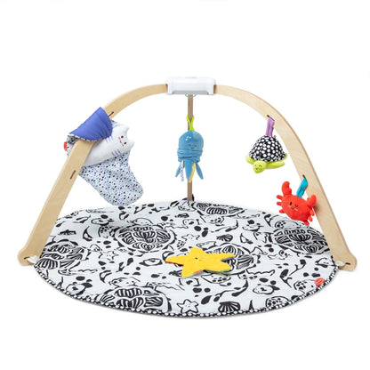 Baby activity play set - designed for interactive floor play, featuring soft materials and engaging elements for infants and young children.