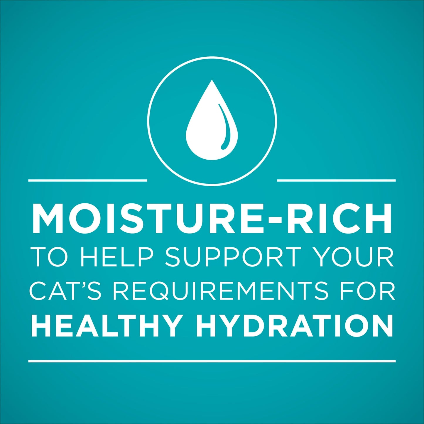 Image displaying text about the details of a Wet cat food