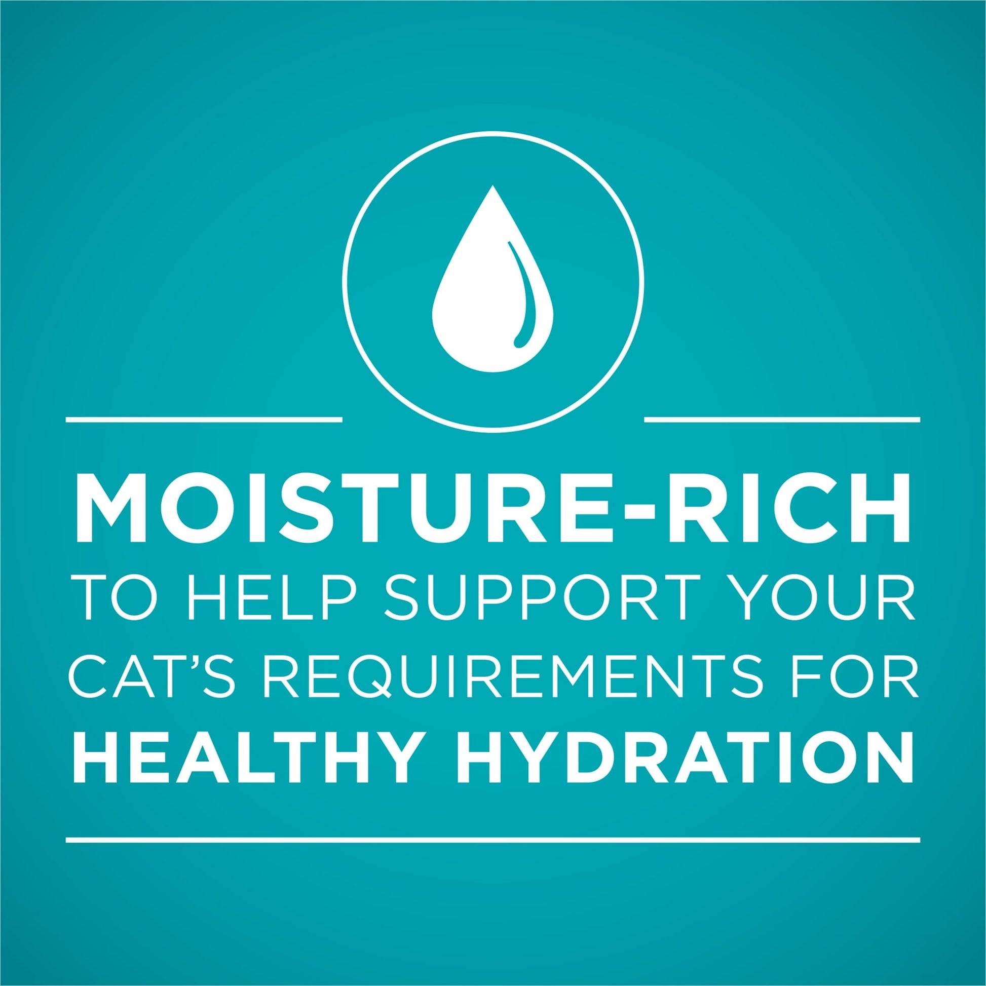 Image displaying text about the details of a Wet cat food