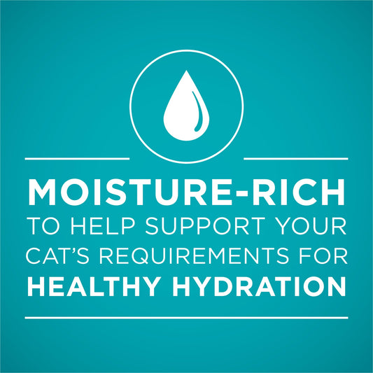 Image displaying text about the details of a Wet cat food