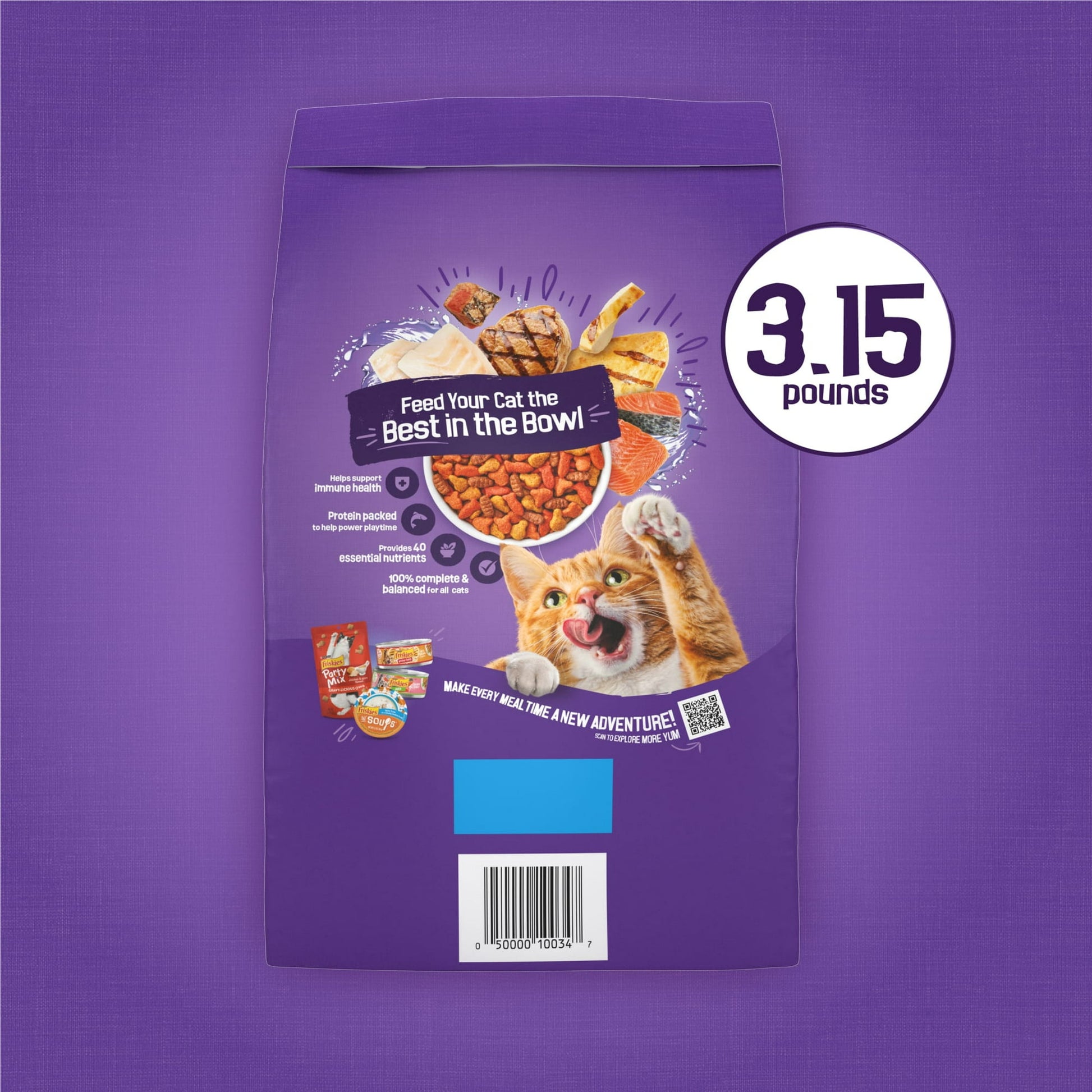 Pet dry cat food – wholesome nutrition for regular feeding to help support energy and overall health