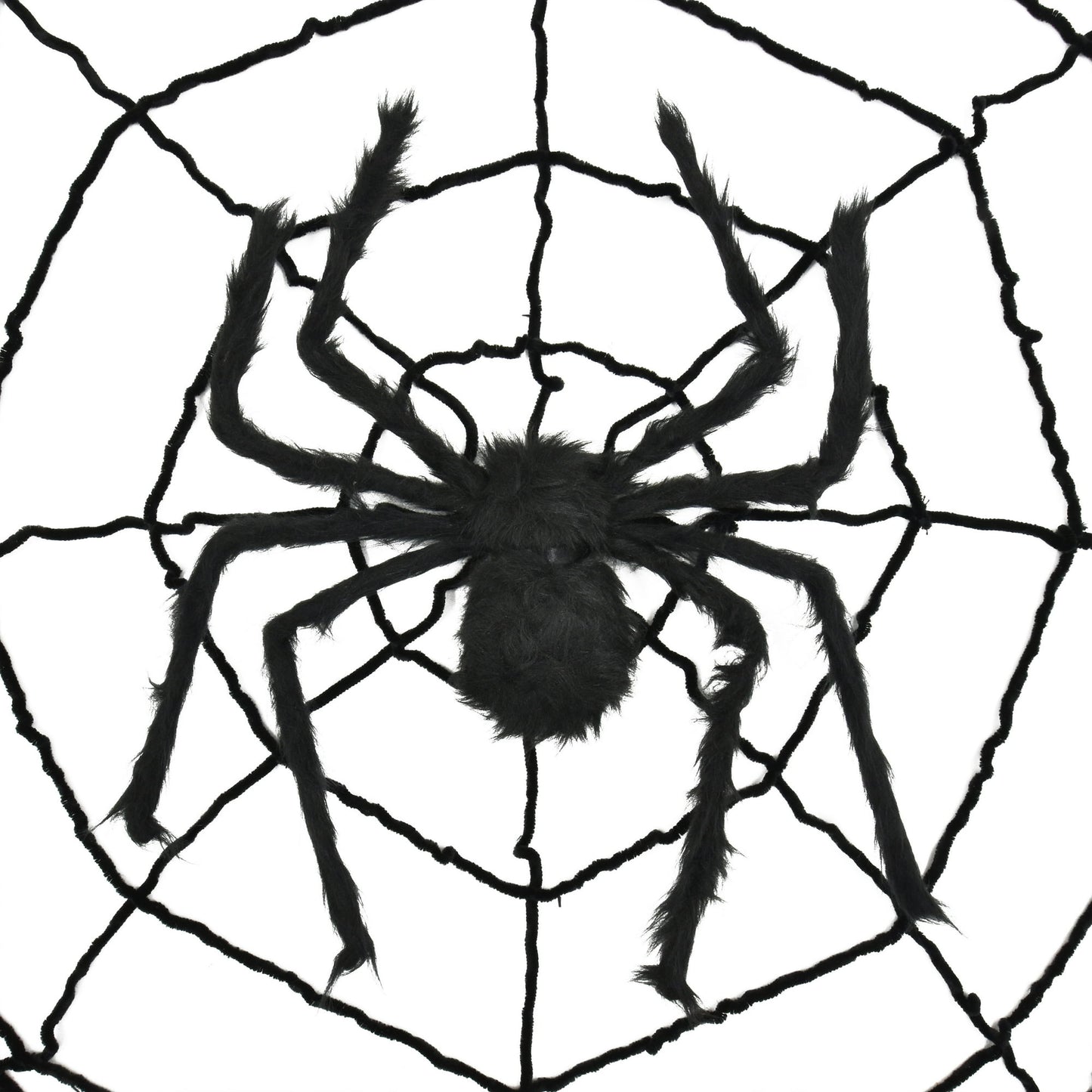 Halloween Themed Black spider on a web with a white background