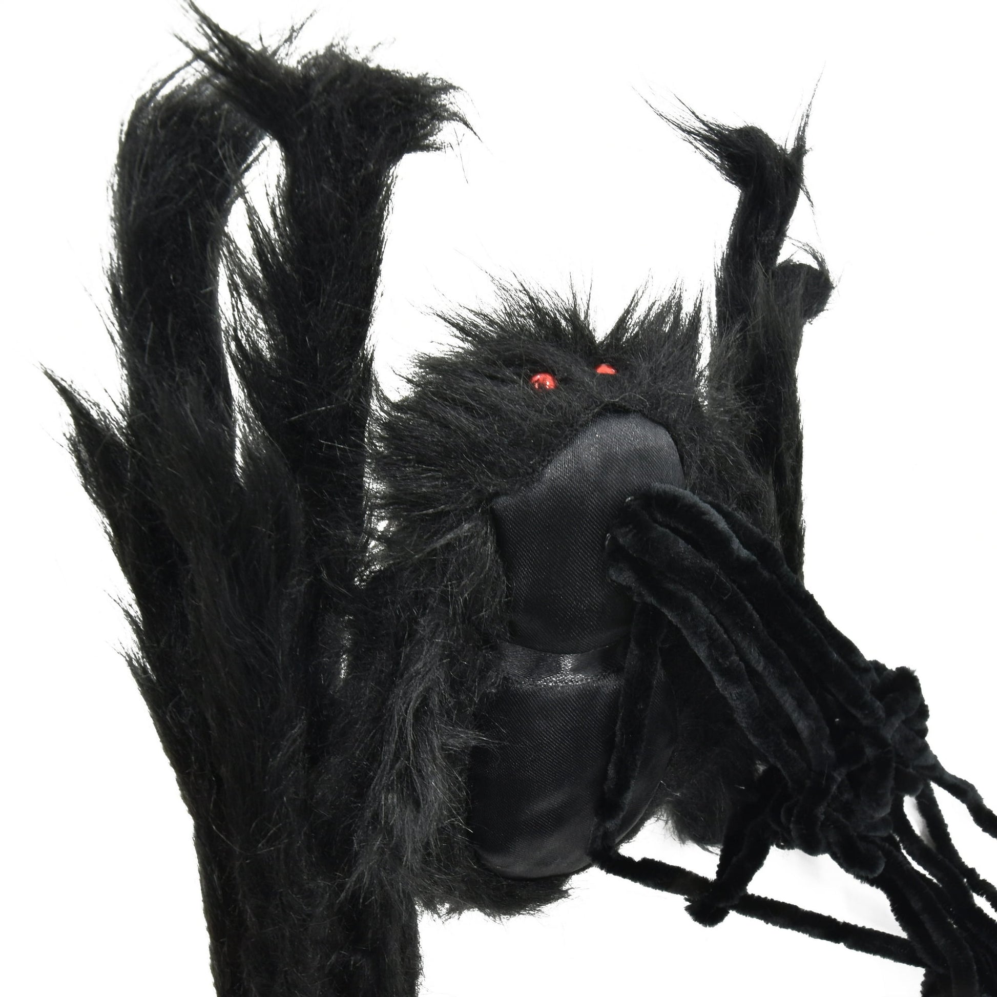 Halloween Themed Black spider with red eyes on a white background