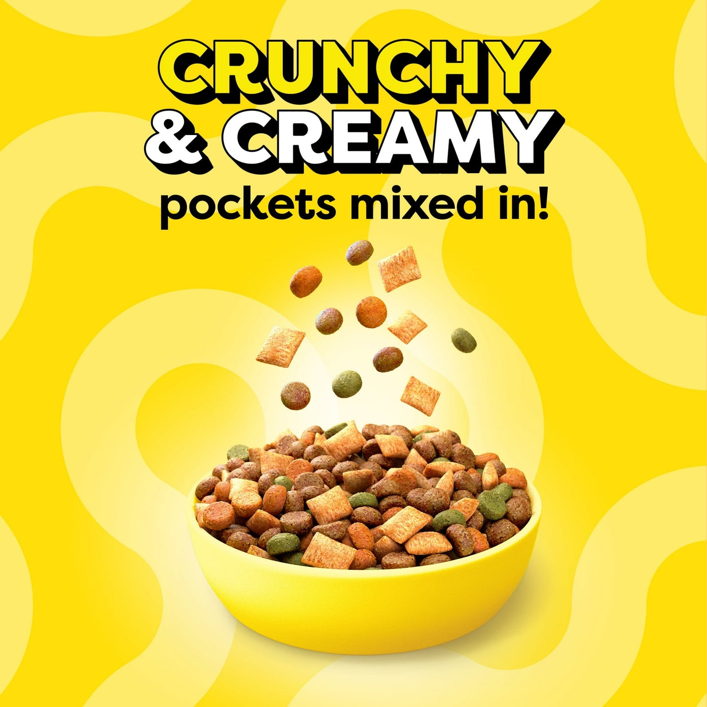 Image displaying text about the details of a dry cat food