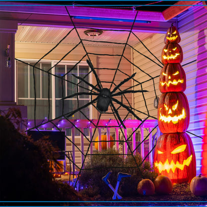 Spider Web with Spider Outdoor Decoration, Black, 8", Halloween by Way To Celebrate