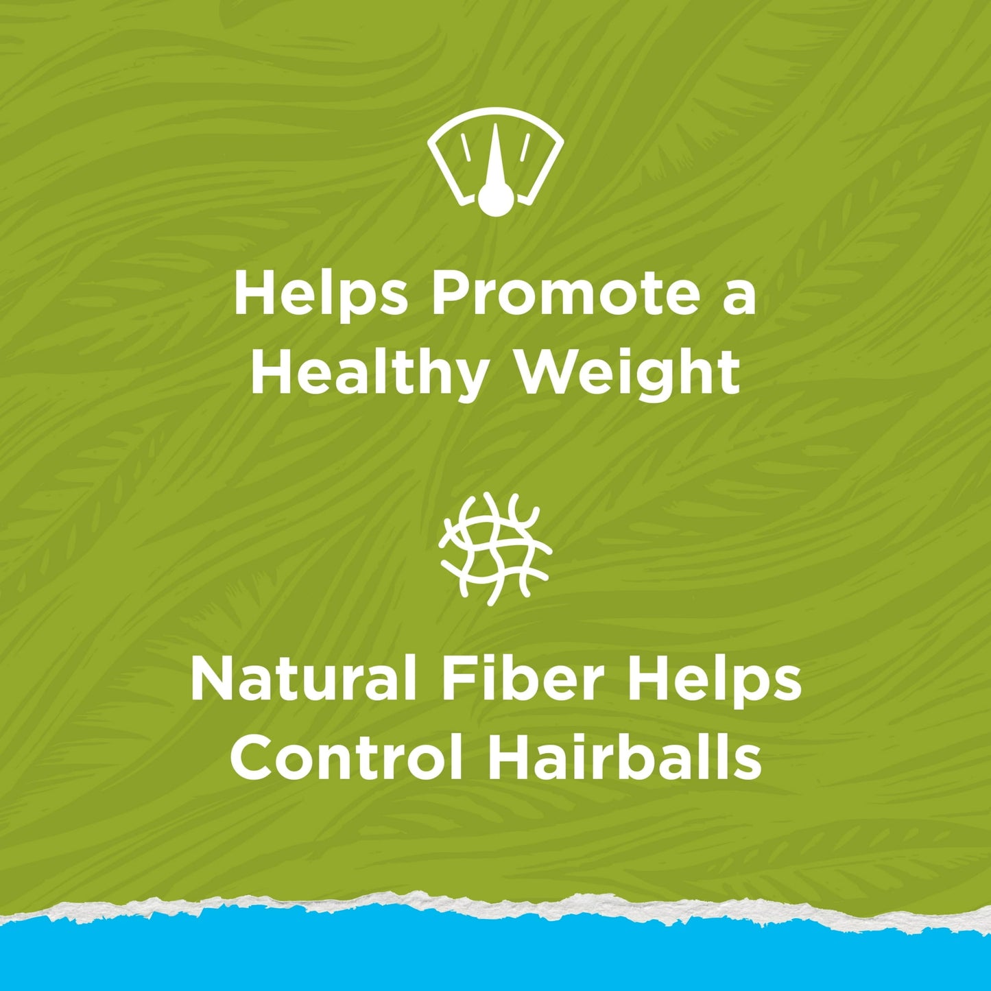 Image displaying text about the details of a dry cat food