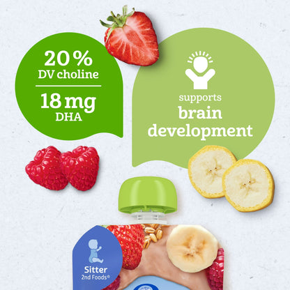 Gerber Stage 2 Baby Food, Organic Banana Strawberry Raspberry Oatmeal Puree, 3.5 oz Pouch