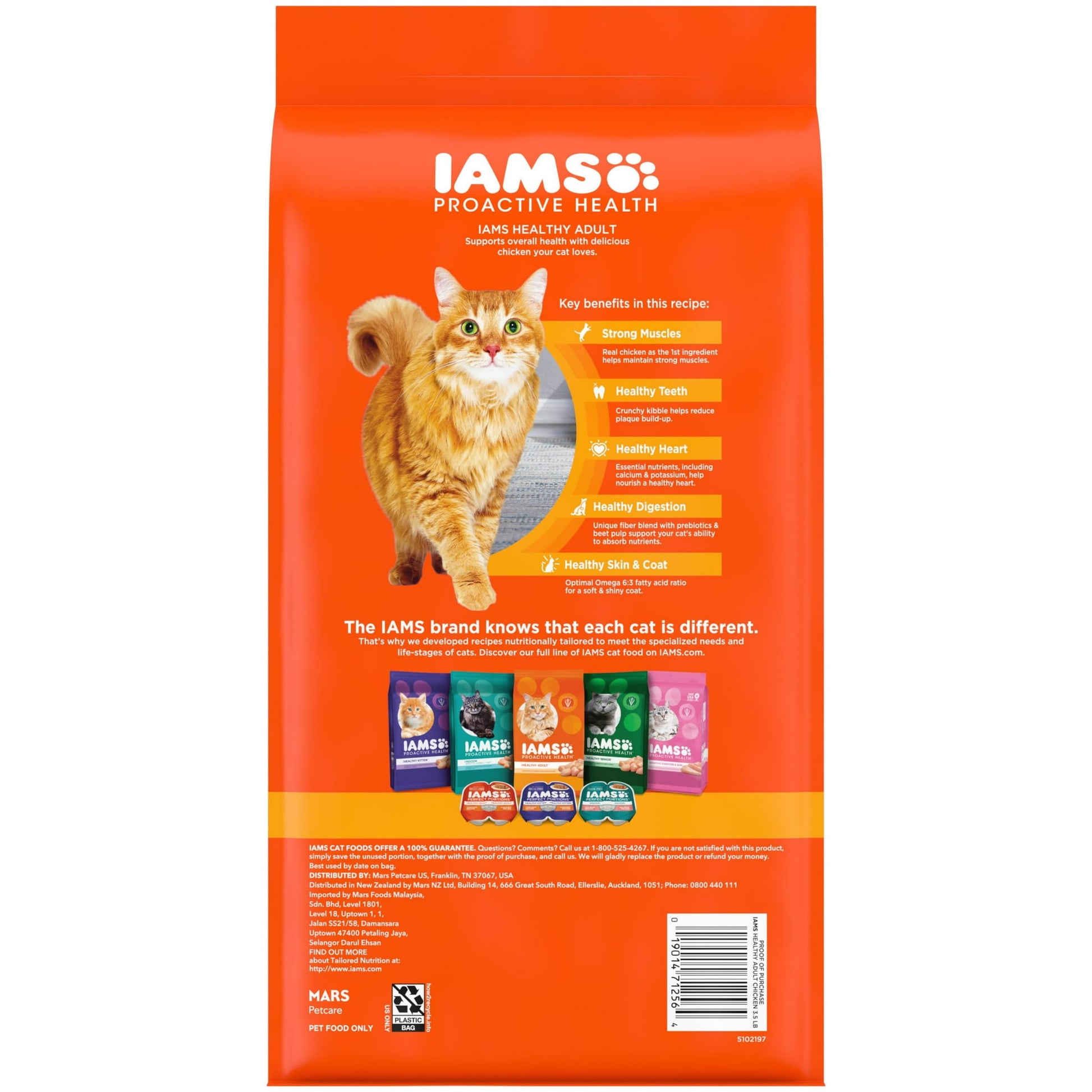 Pet dry cat food – wholesome nutrition for regular feeding to help support energy and overall health