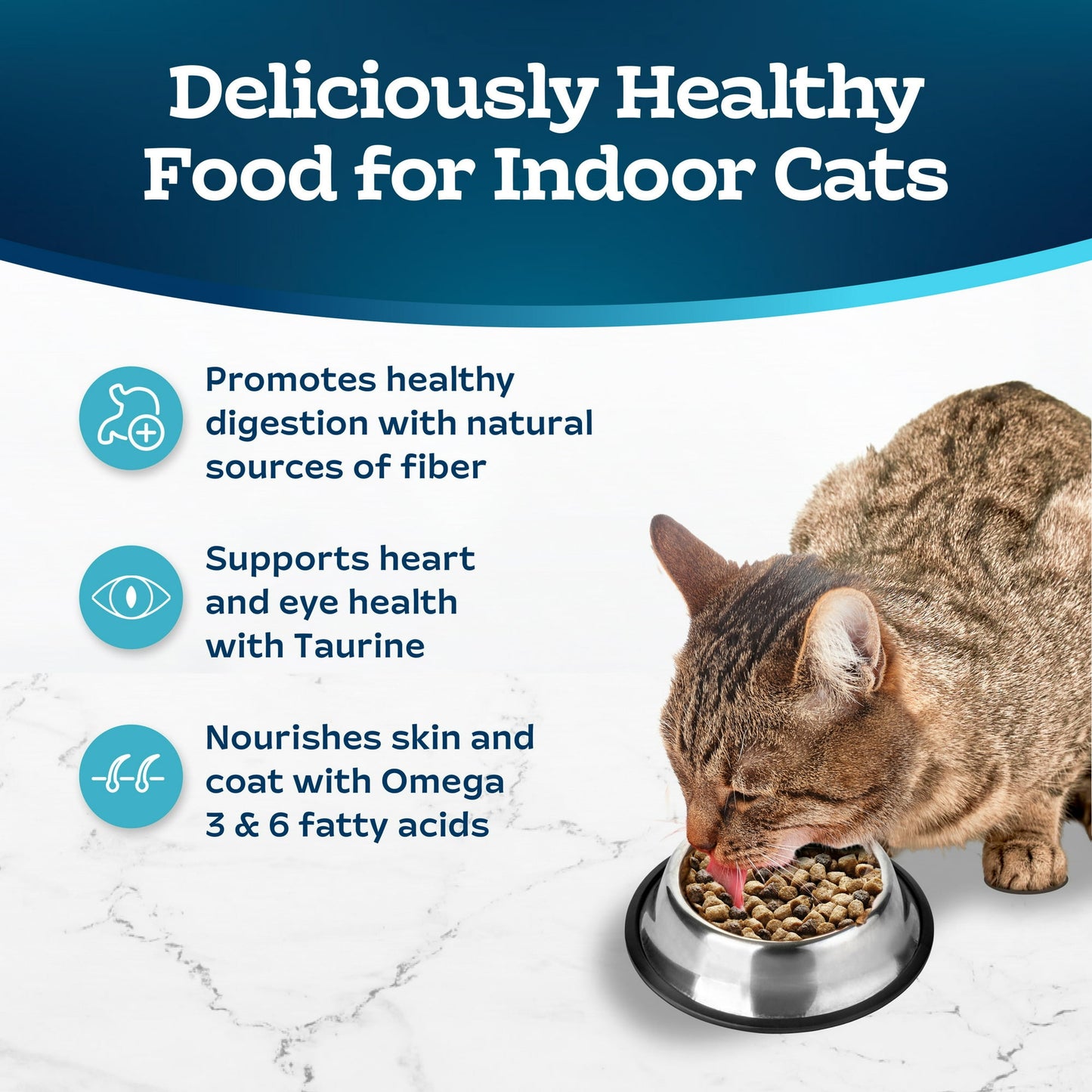 Image displaying a cat and text about the details of a dry cat food