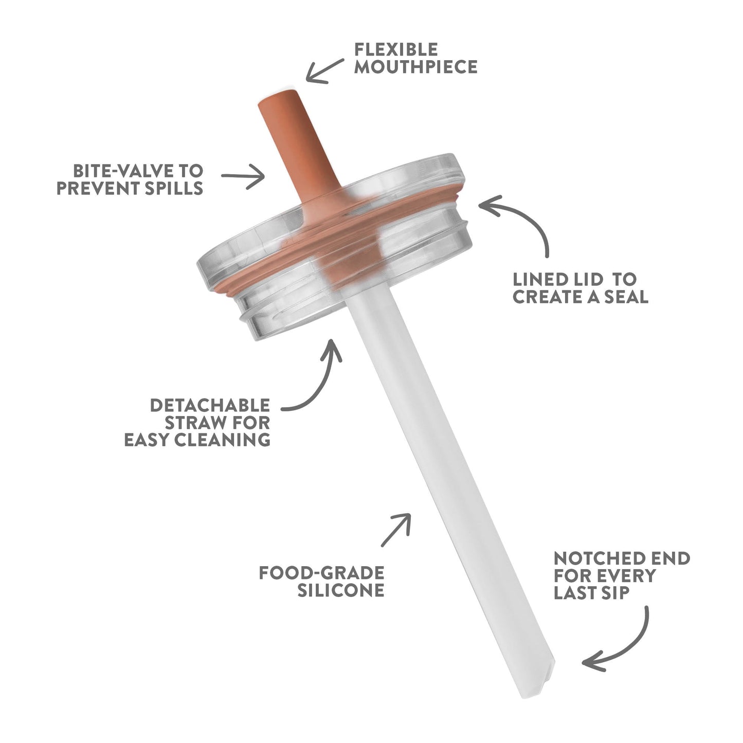 Image displaying a Tumbler with text about it's details