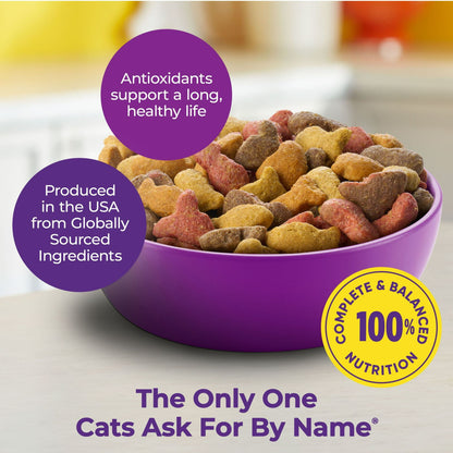 Image displaying text about the details of a dry cat food